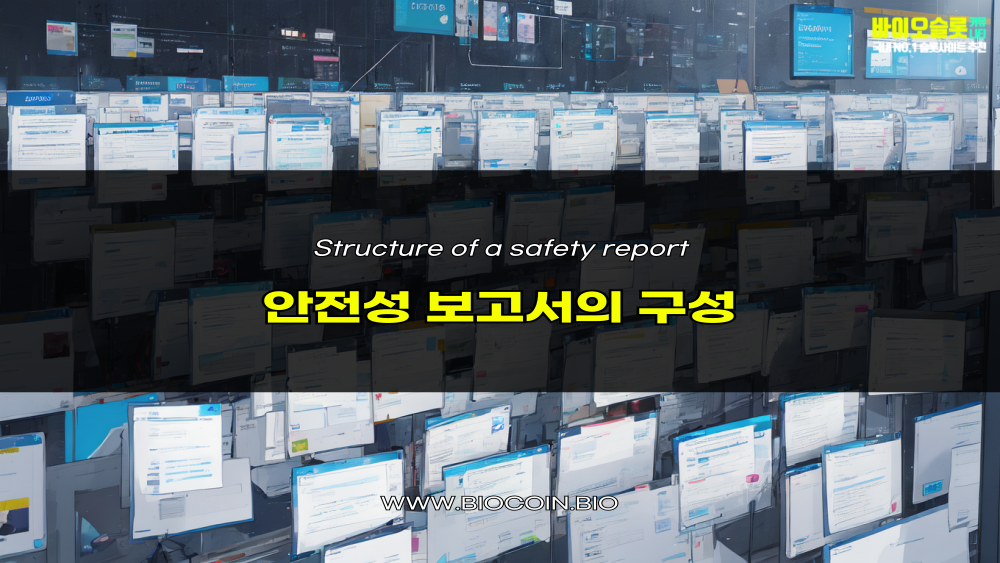 안전성 보고서의 구성