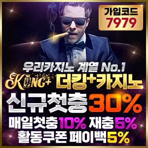 카지노 슬롯사이트 더킹플러스